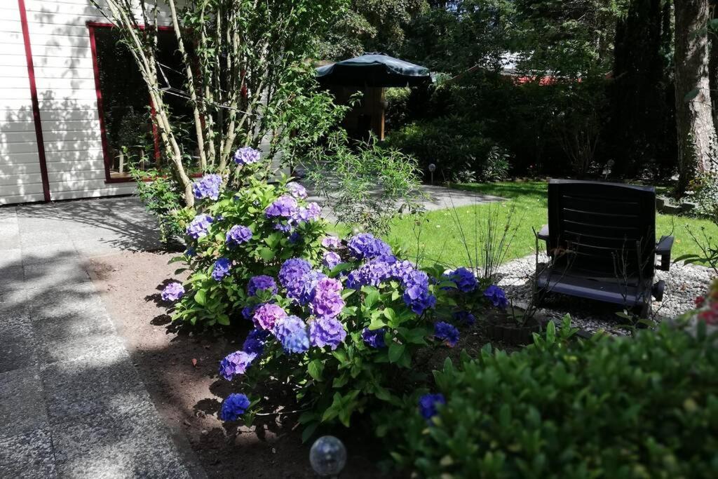 Roodborstje 4 Persoonschalet Putten Esterno foto